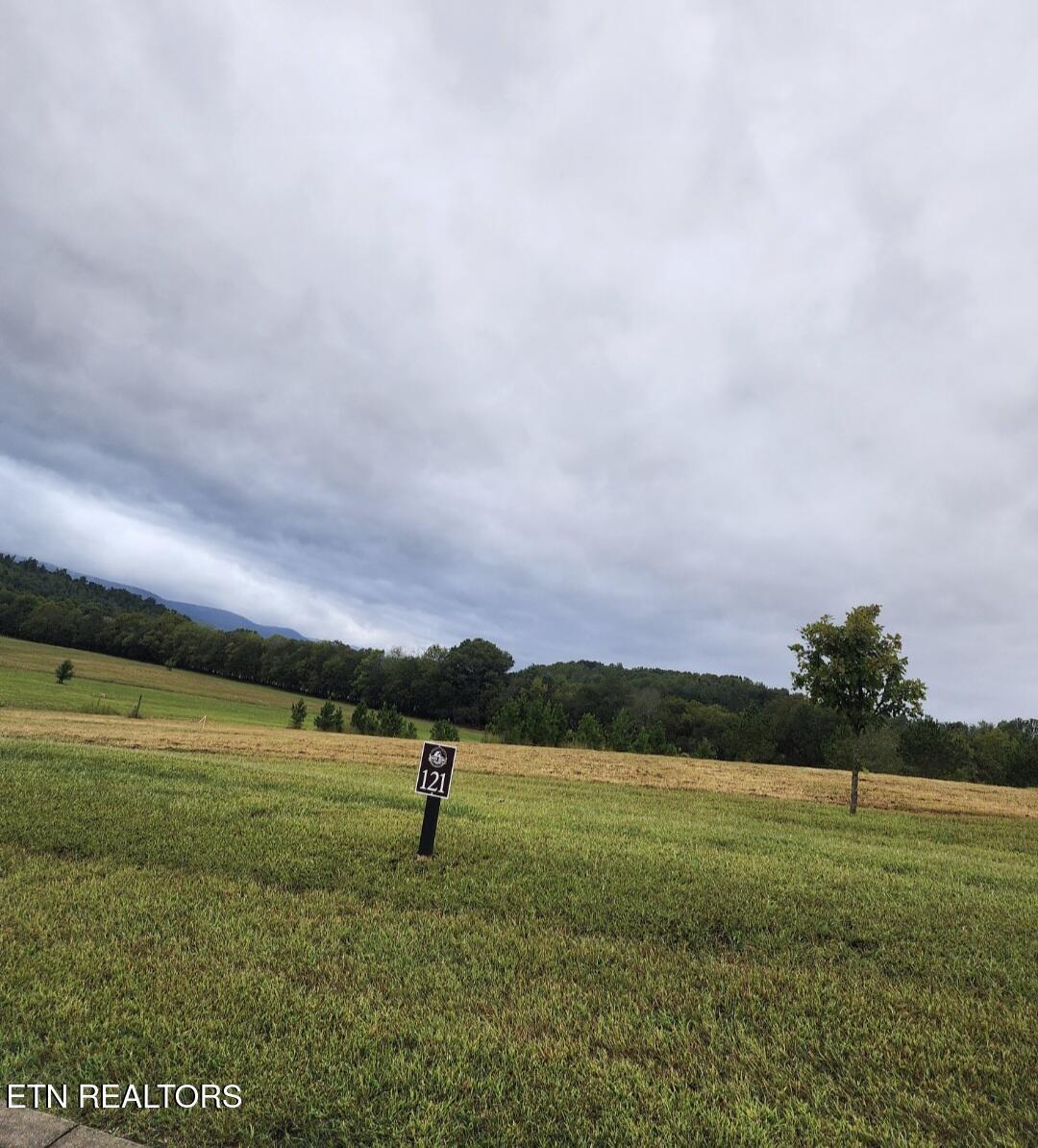 Image 2: Lot 121
