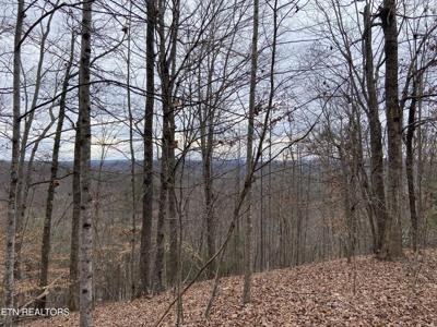 Timber Creek Rd