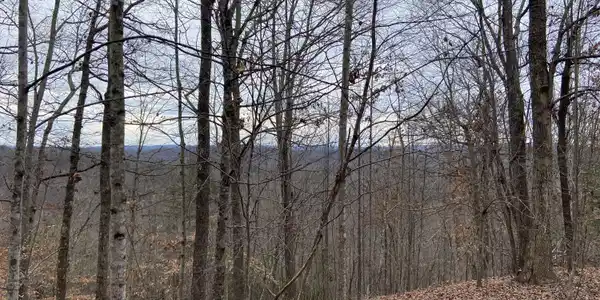 Timber Creek Rd