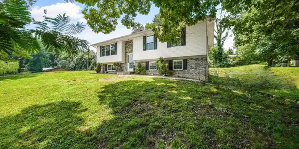 Image 3: 03-175 Henderson Ln 06