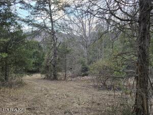 4123 Panther Creek Rd