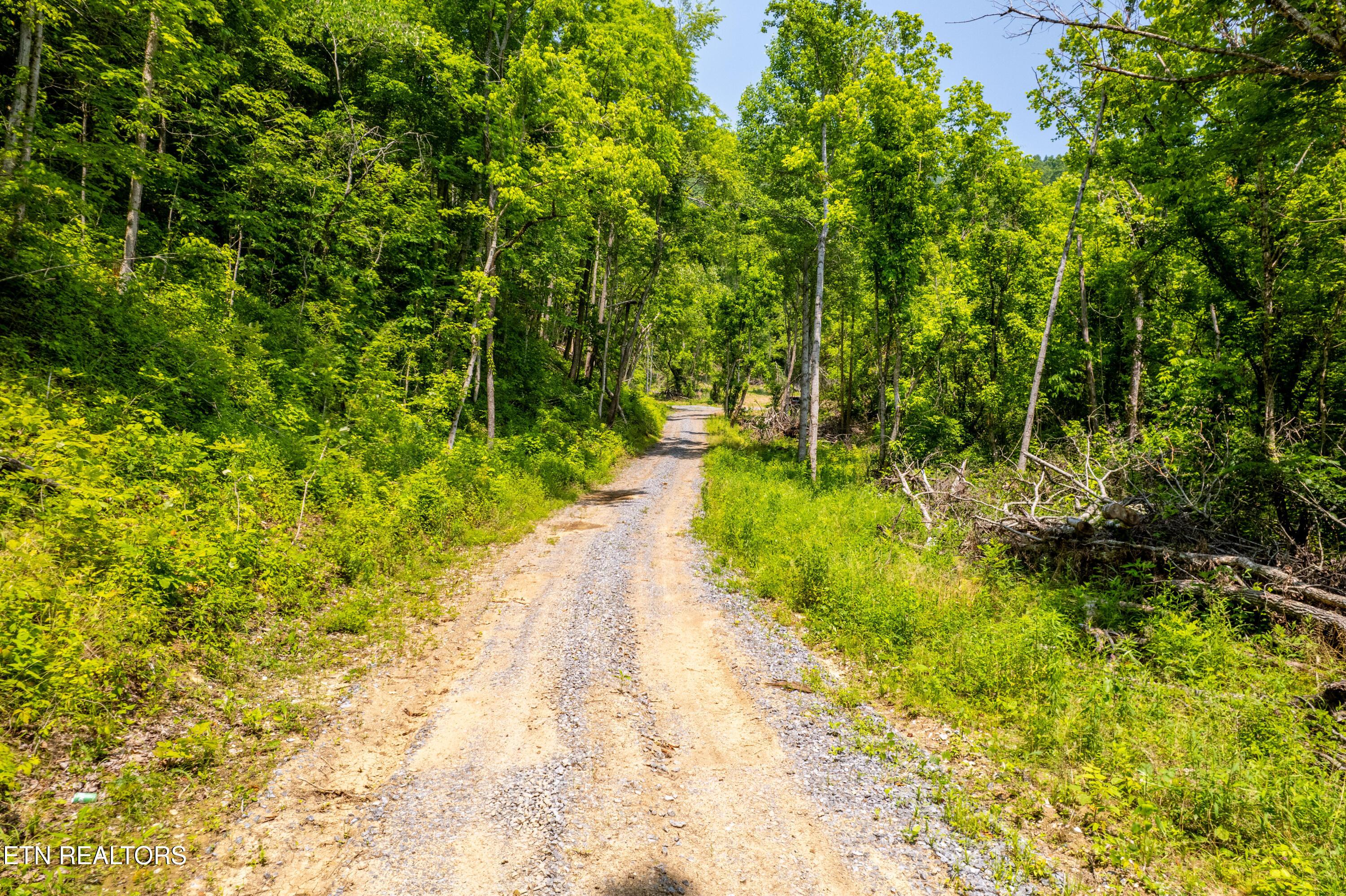 Image 3: BeechCreekRd-1