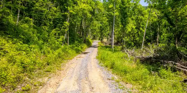 Image 3: BeechCreekRd-1