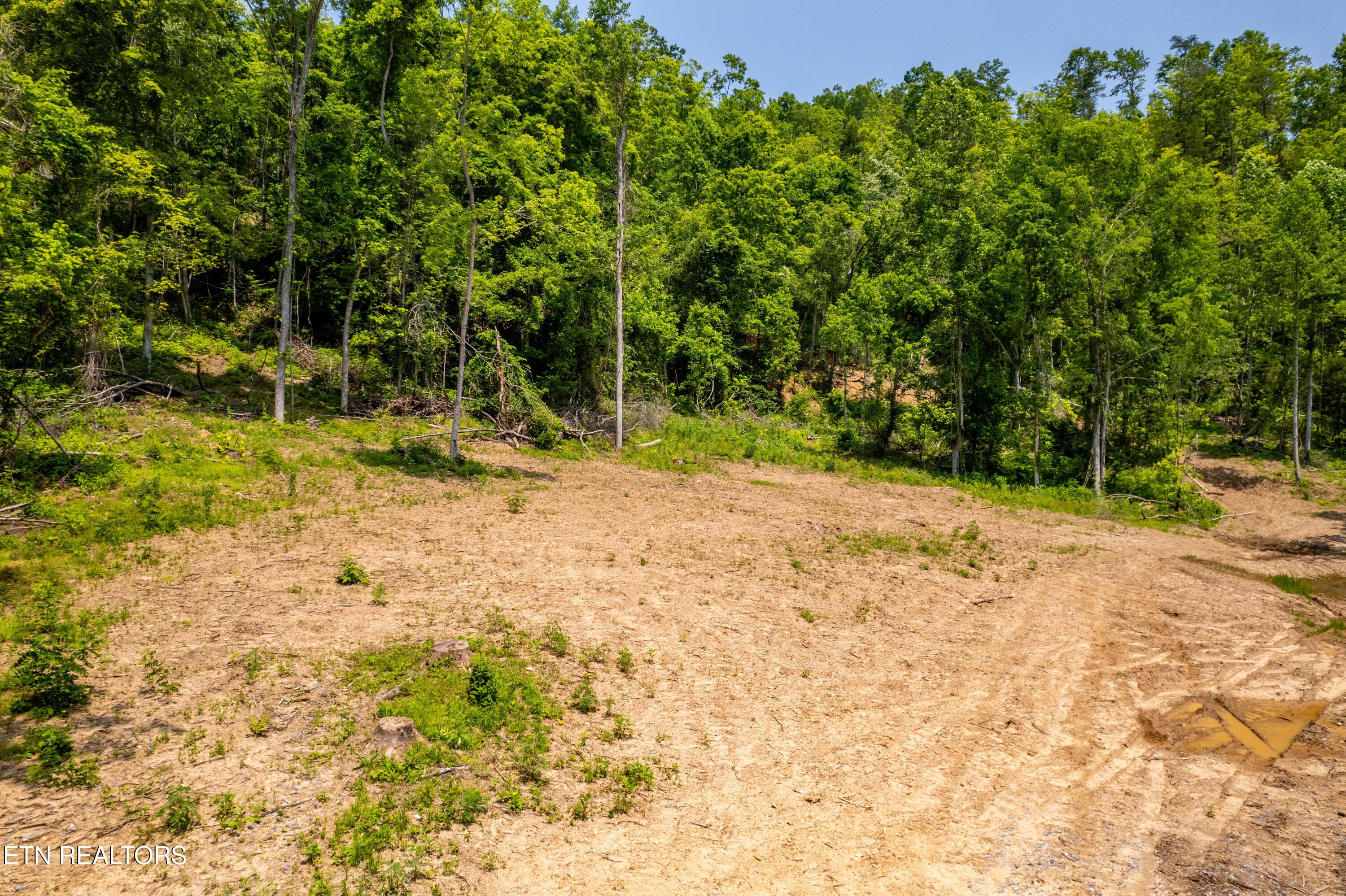 Image 4: BeechCreekRd-2