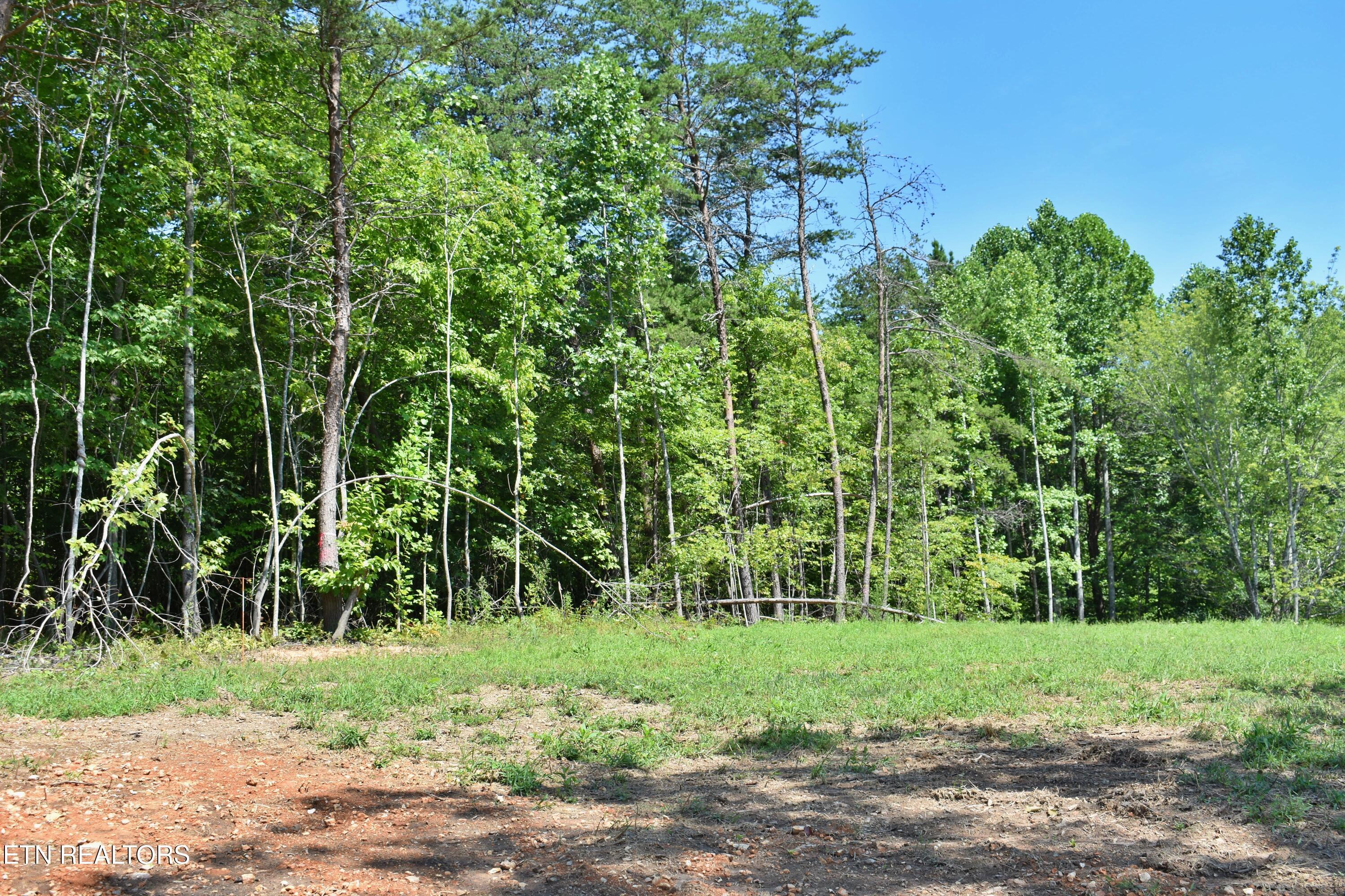 Image 2: DSC_0001