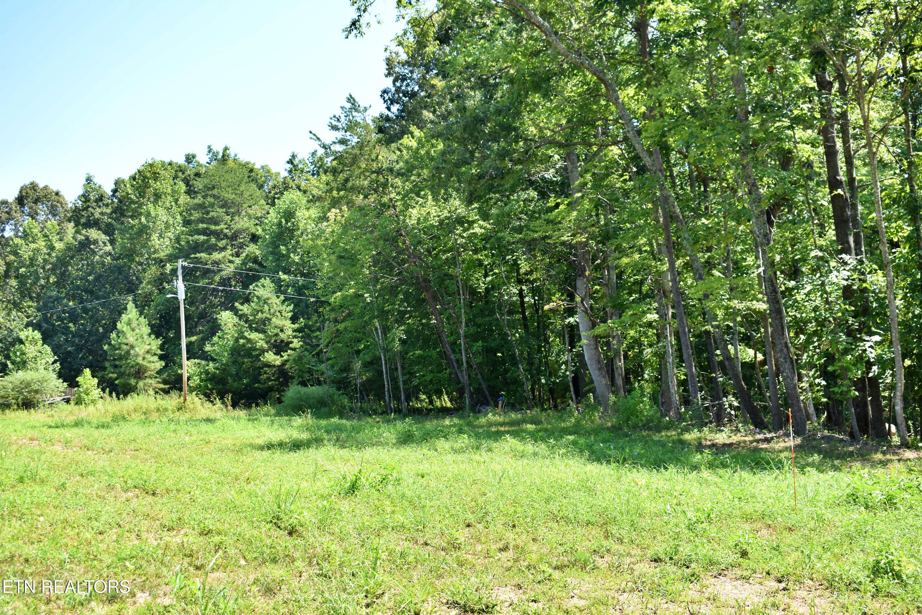 Image 3: DSC_0002