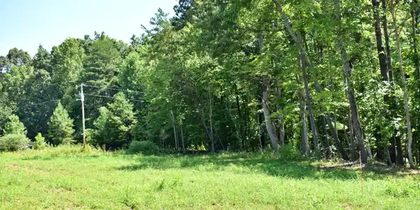 Image 3: DSC_0002