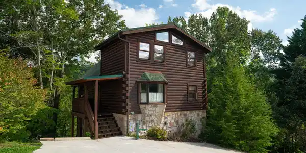 317 Brown Wren Way