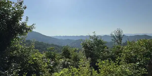 Image 4: att.dKMoKpgNTyN42dUU56p61tkKc1XliDtK5sdi