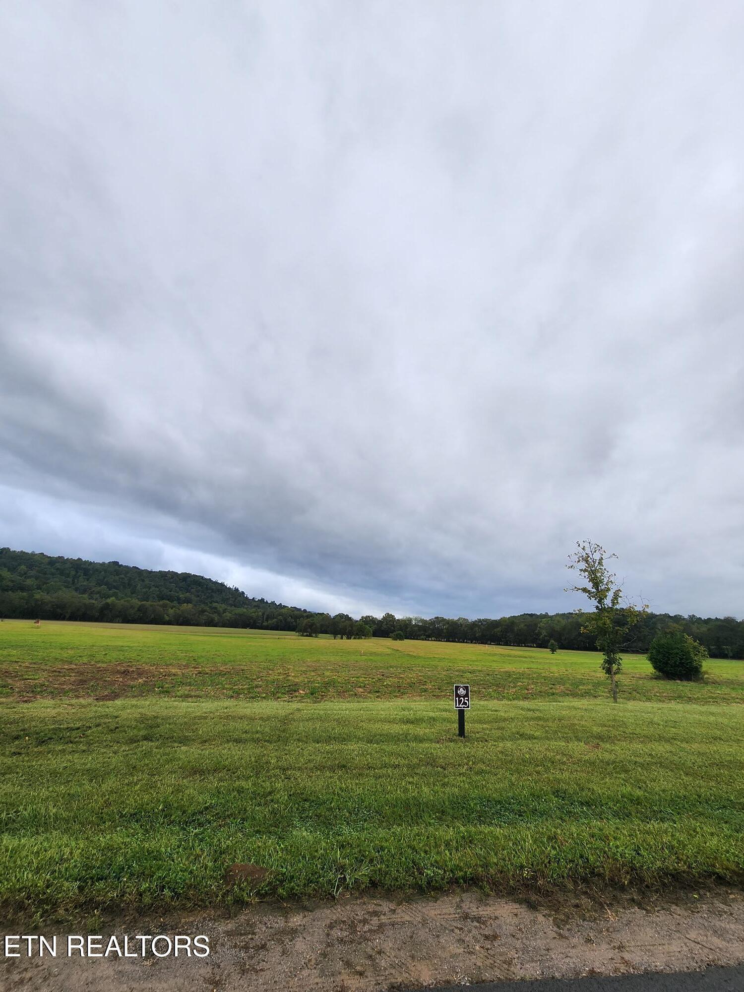 Image 1: Lot 125 (2)