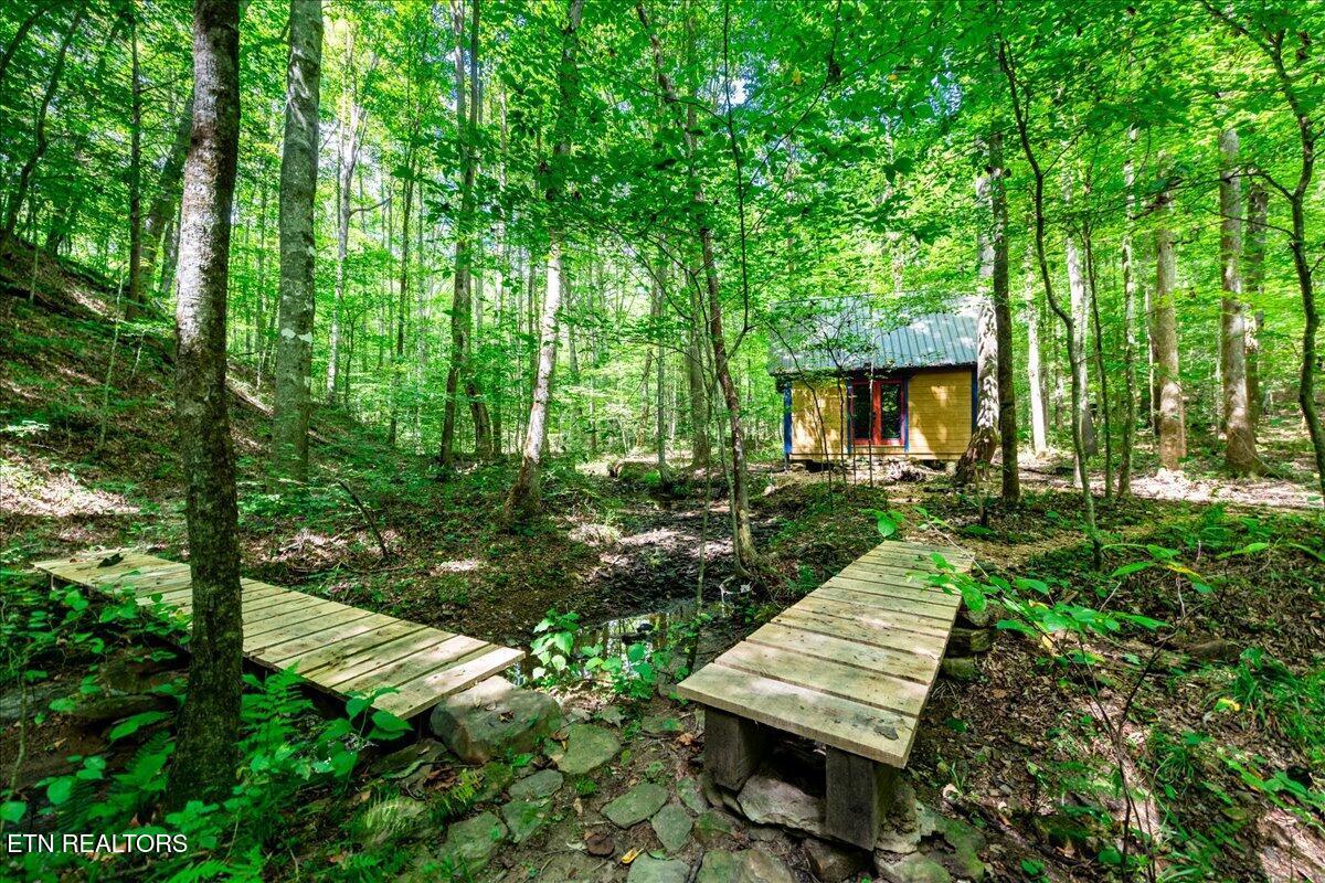 Image 2: 05-DSC_7016-HDR