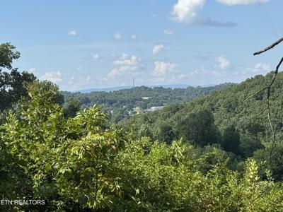 Cole Hollow Rd