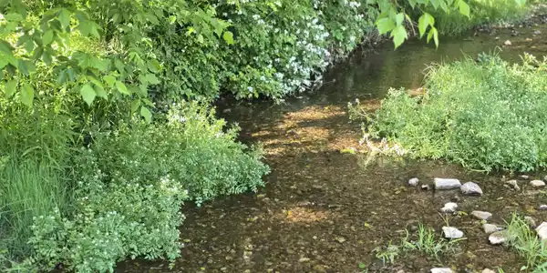 Image 2: 20260514_182520