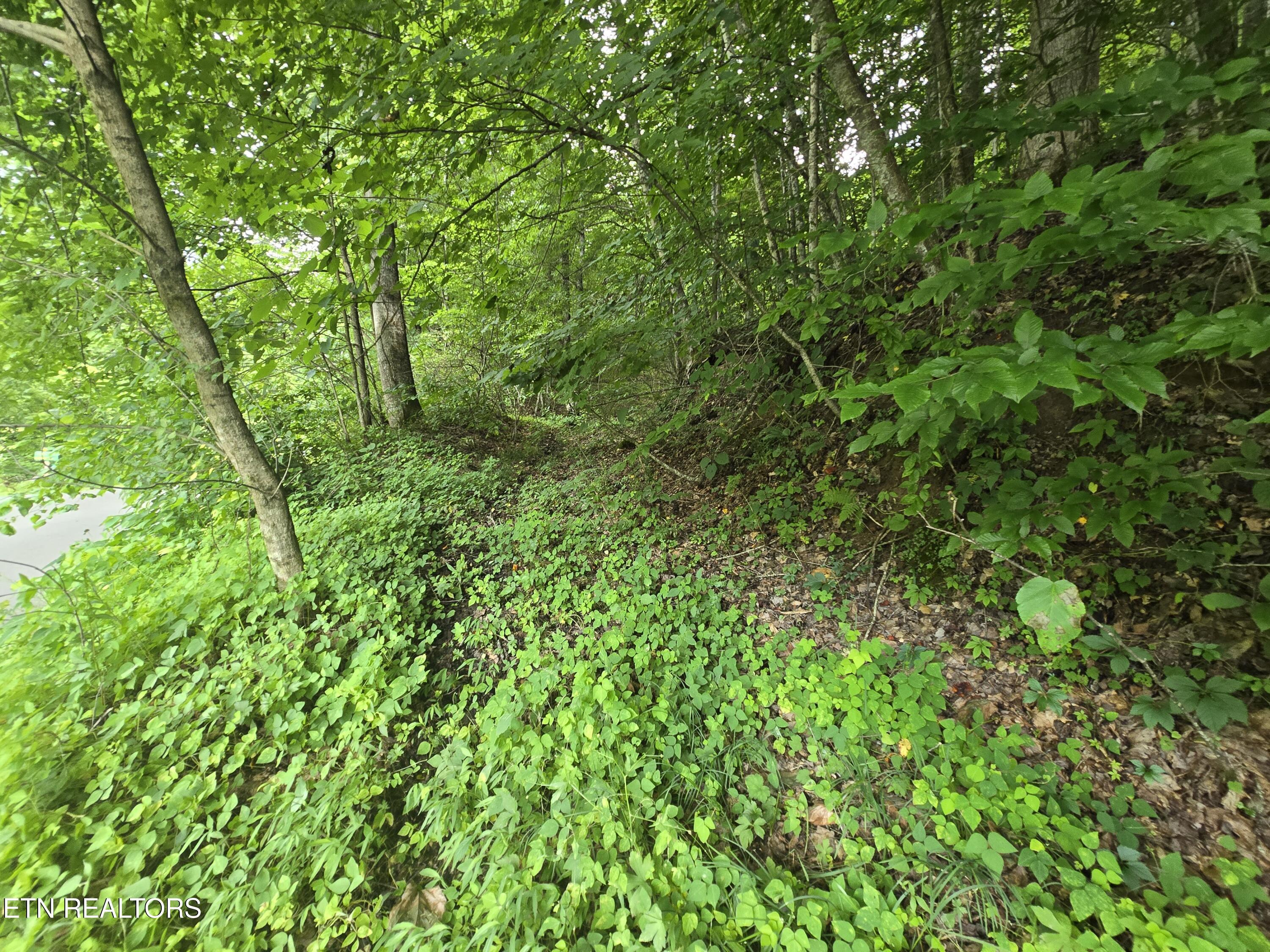 Image 3: 20250627_181419