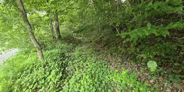 Image 3: 20250627_181419