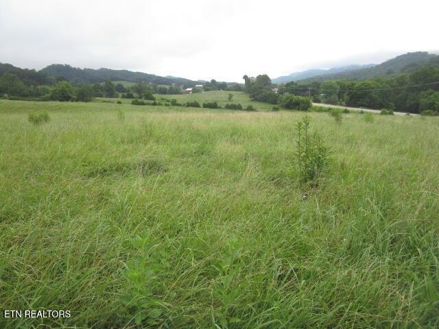 Image 3: IMG_4191