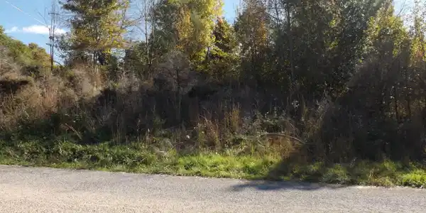 lot 8 Mockingbird Circle