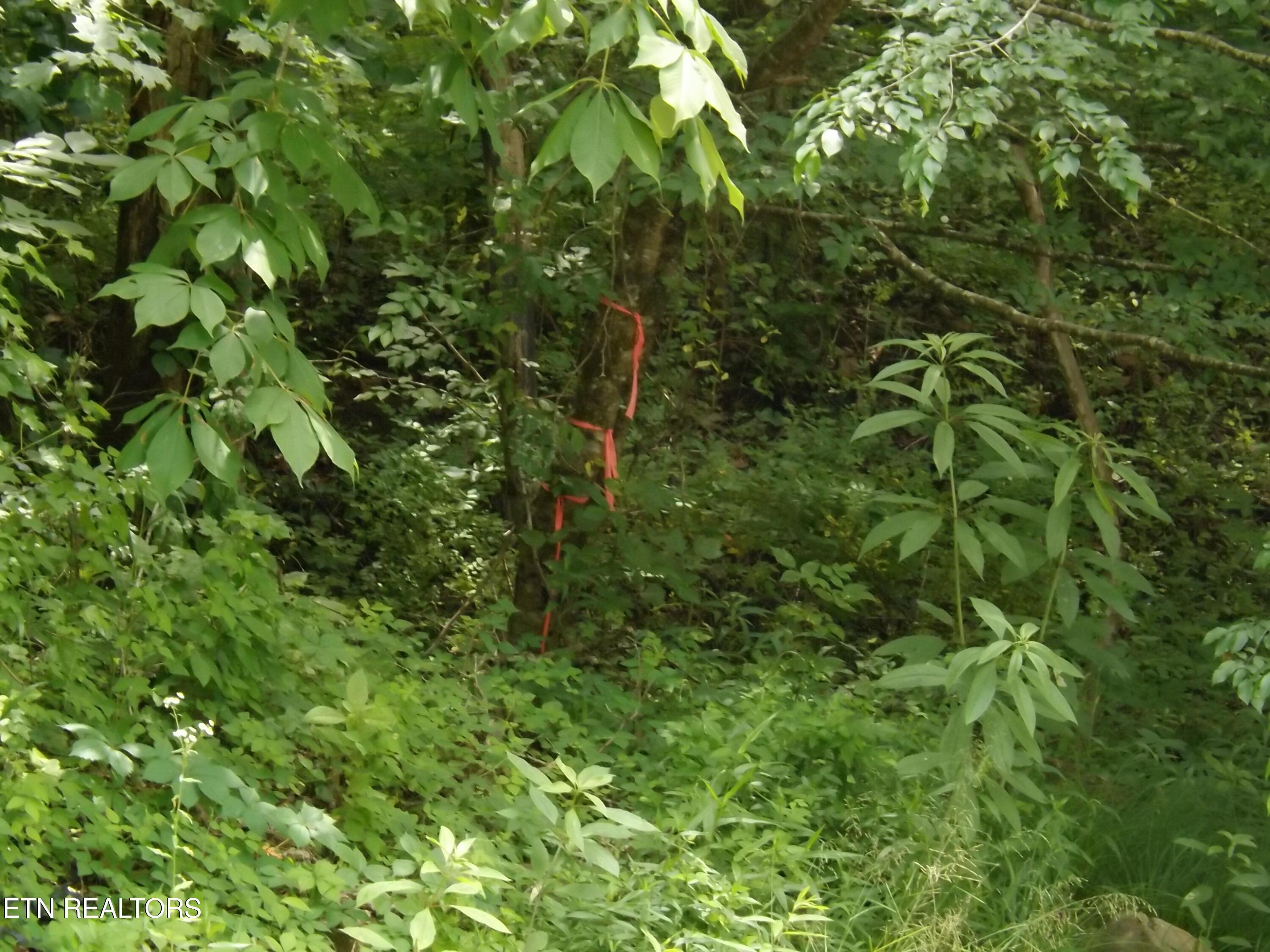 Image 3: DSCF4319