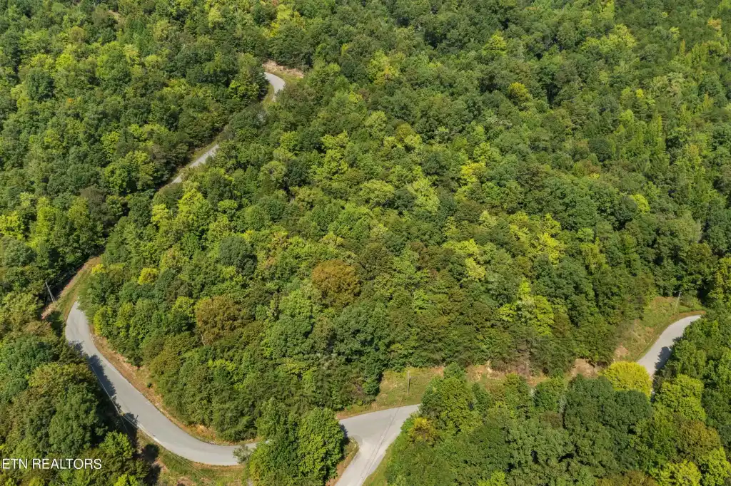 Image 1: DJI_0906.jpg-SMALL