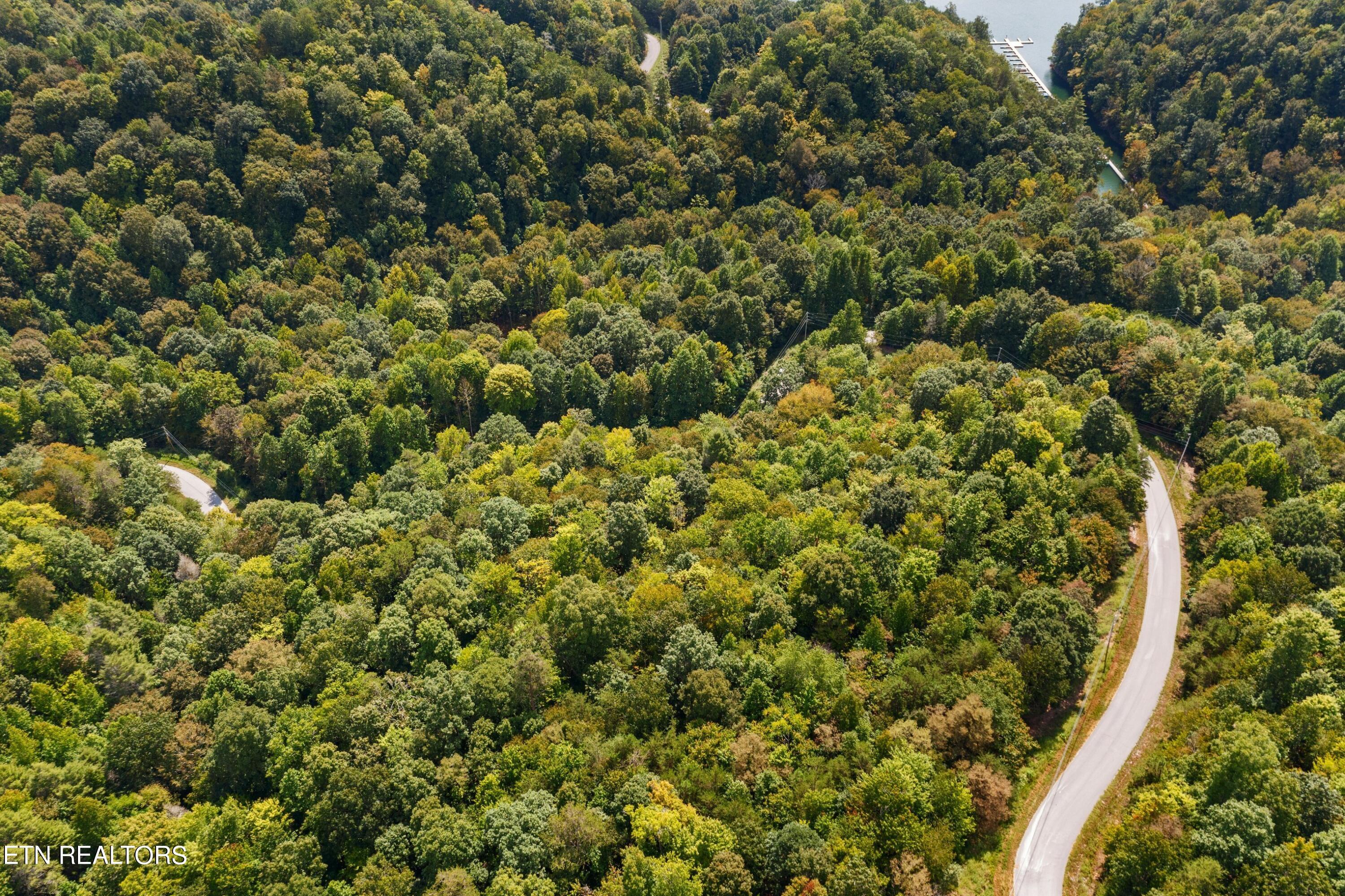 Image 2: DJI_0911.jpg-SMALL