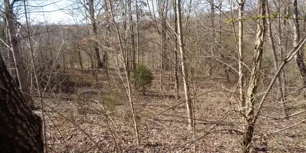 0 HOLSTON RIVER DR.