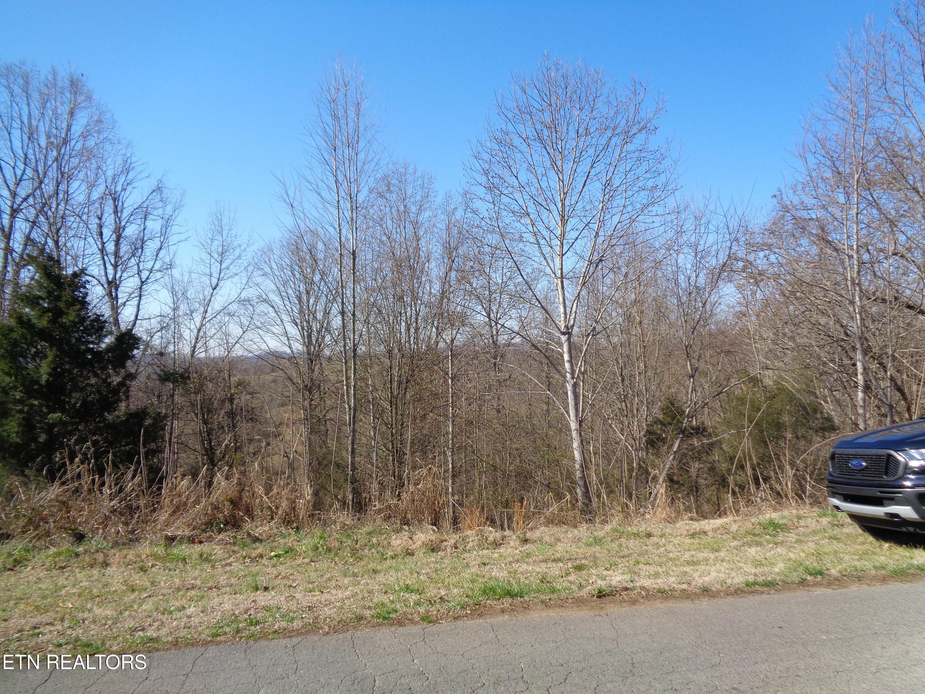 Image 3: DSC00769