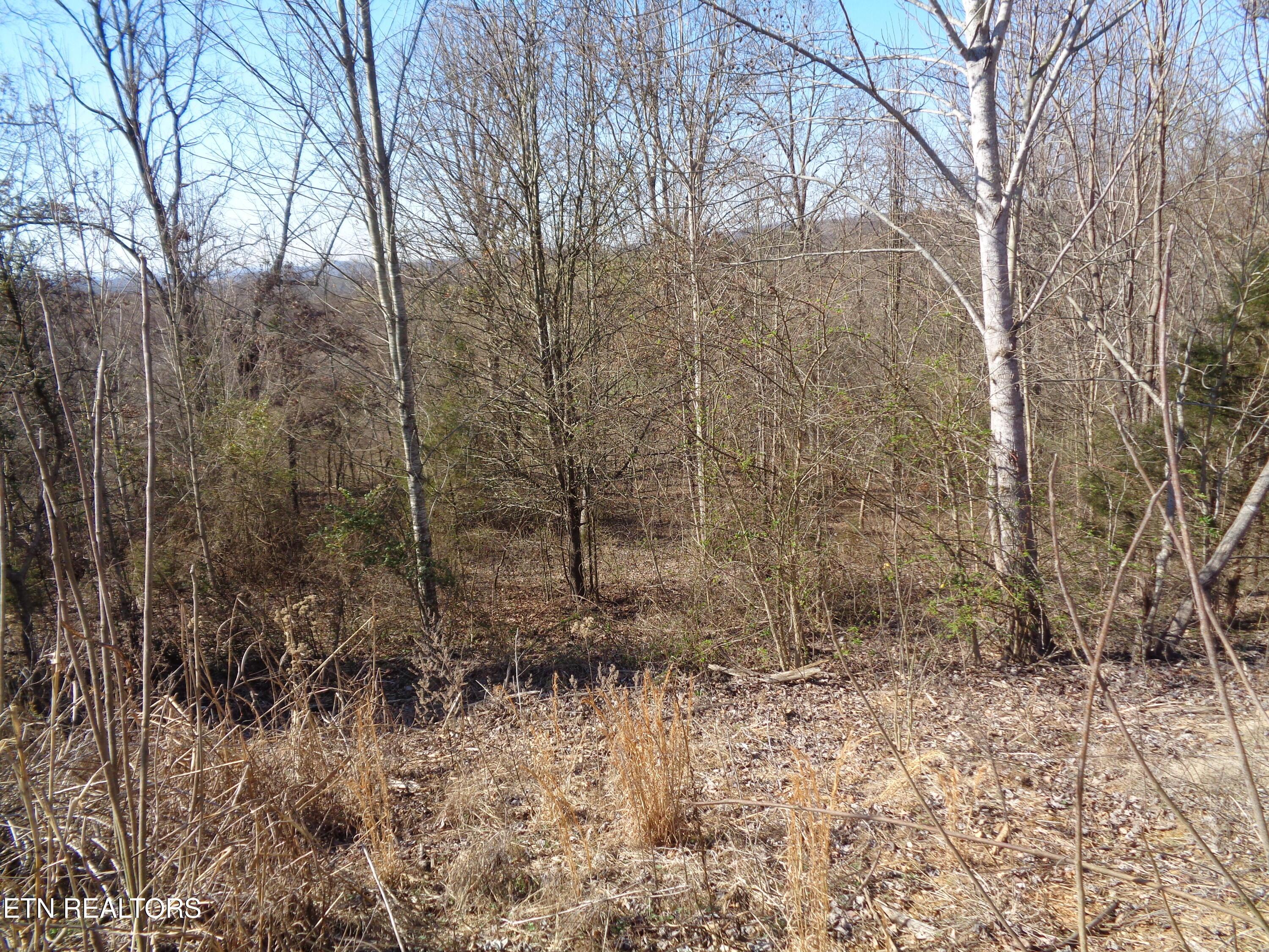 Image 4: DSC00770