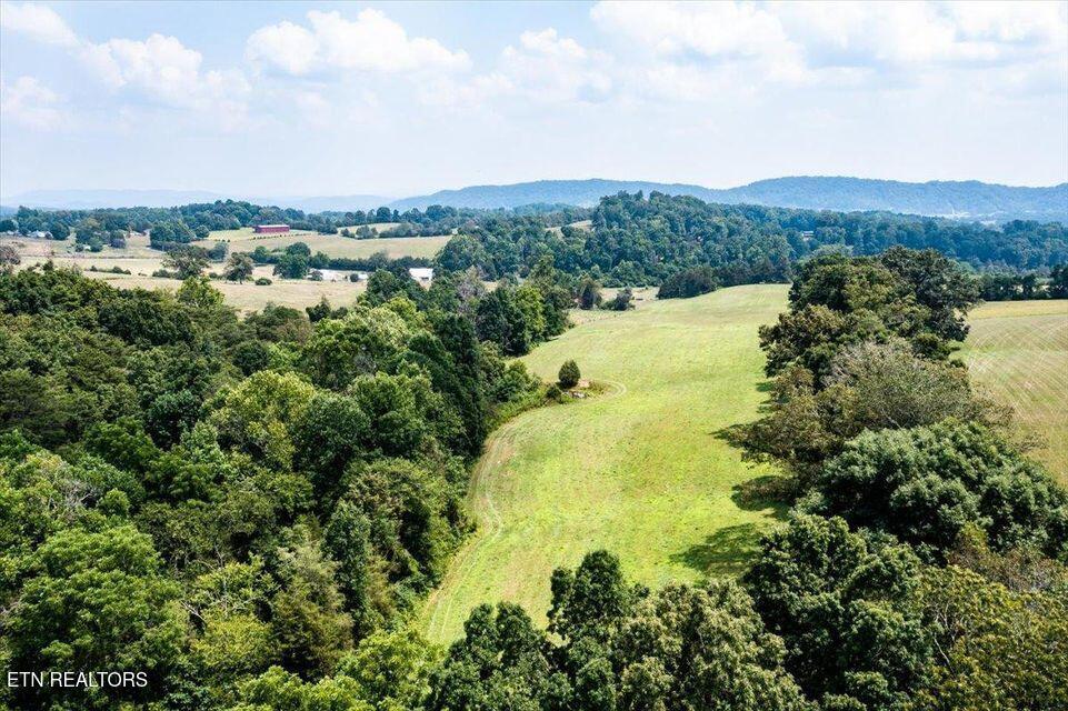 Image 2: Privacy buffer