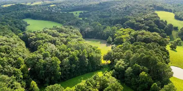 92 AC County Road