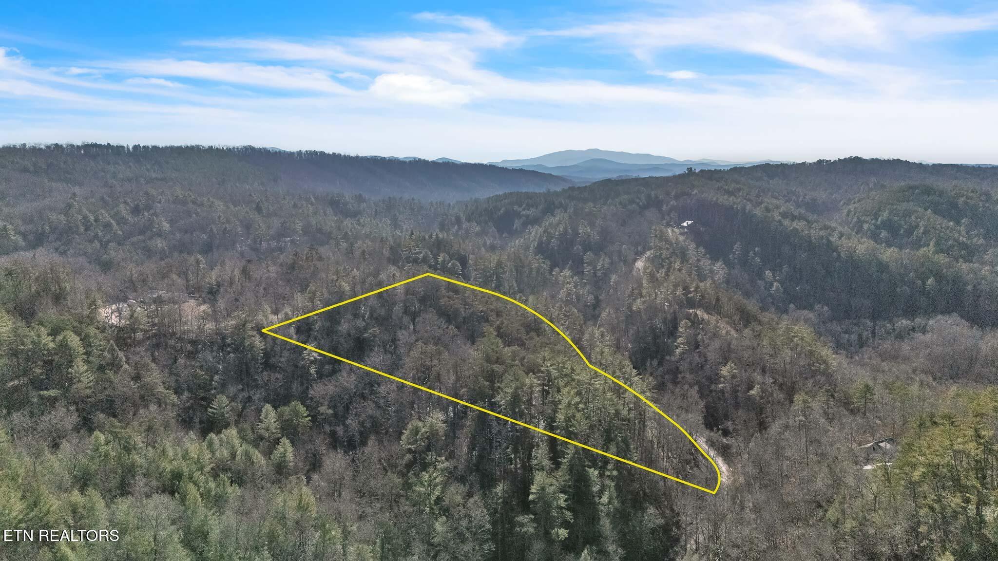 Image 1: 1