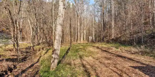 Image 4: 4