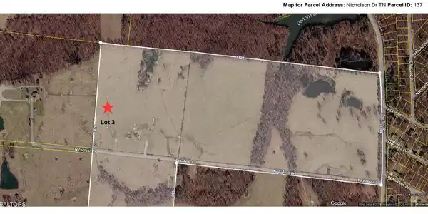 Image 4: Lot 4 (3)