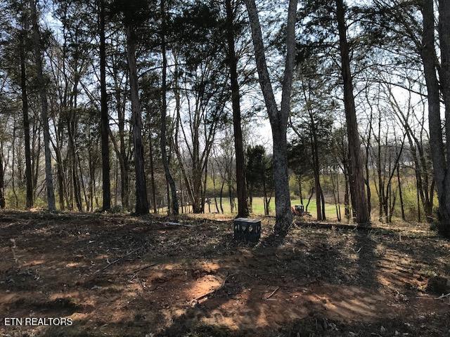 Image 1: 1