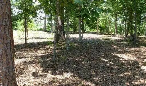 Image 2: 2
