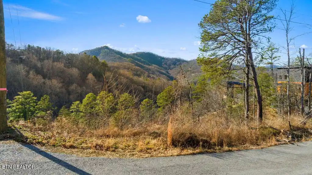 Image 1: DJI_0478-HDR