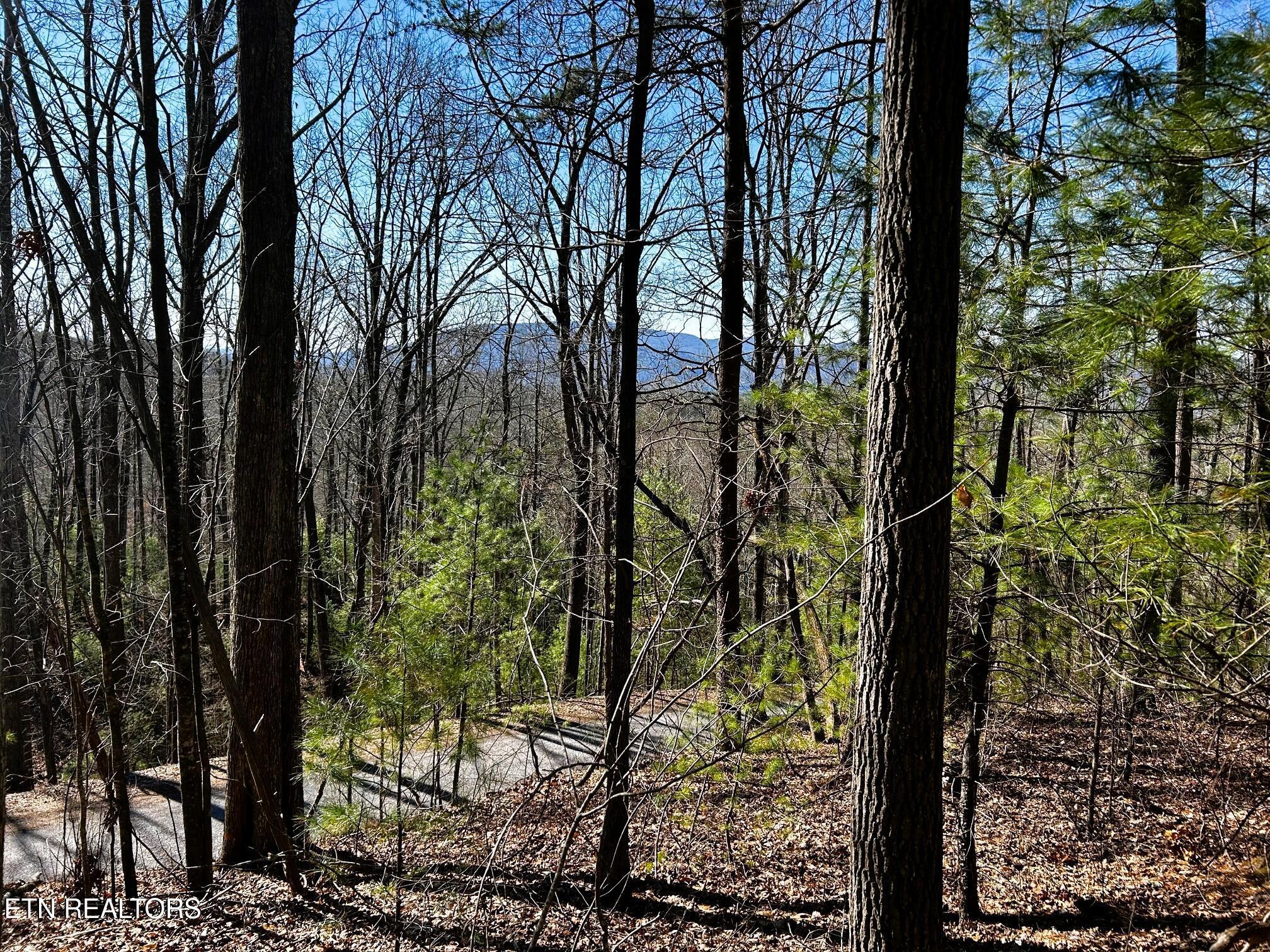 Image 2: chestnut mtn main 1