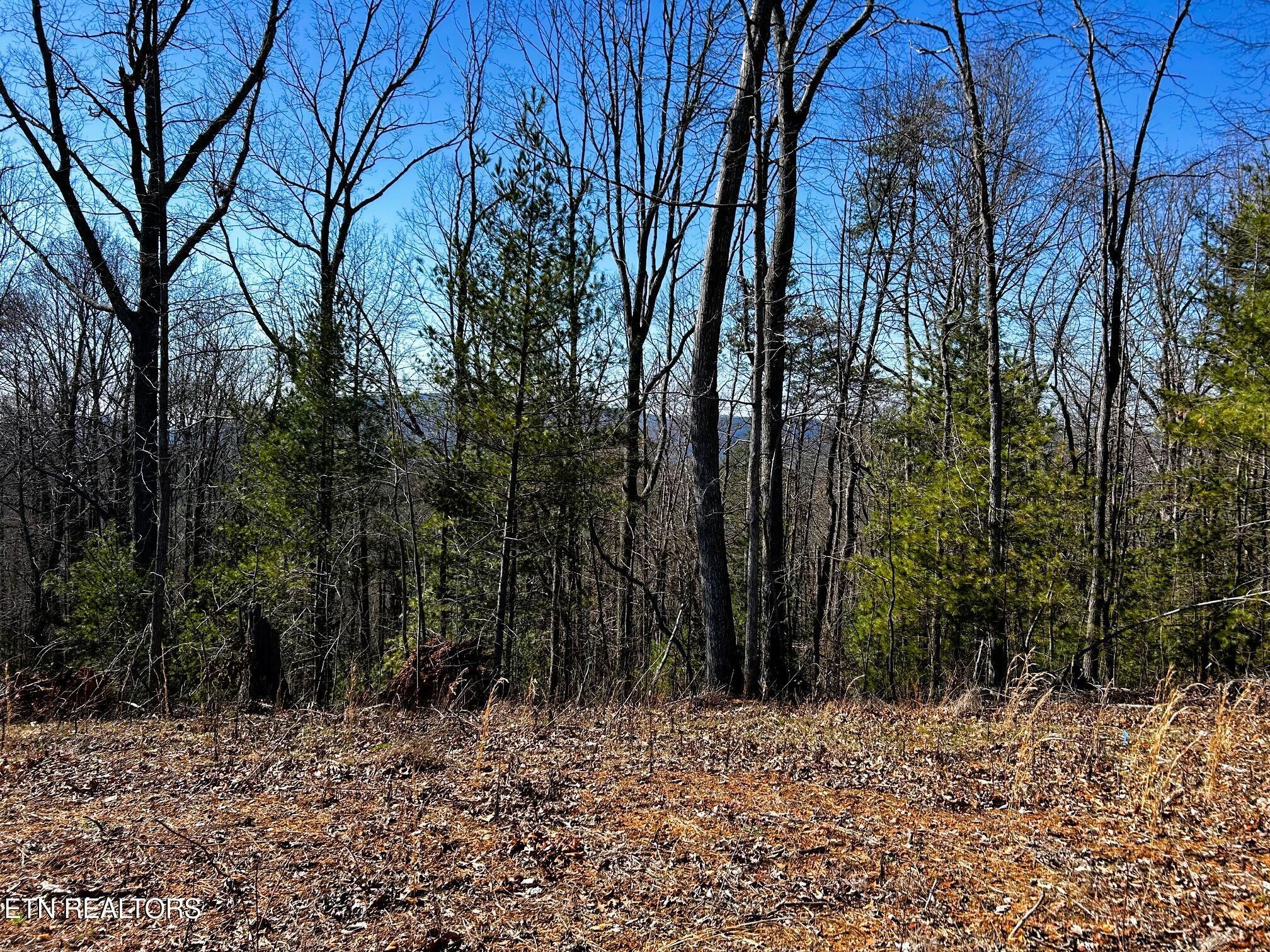 Image 4: chestnut mtn 12