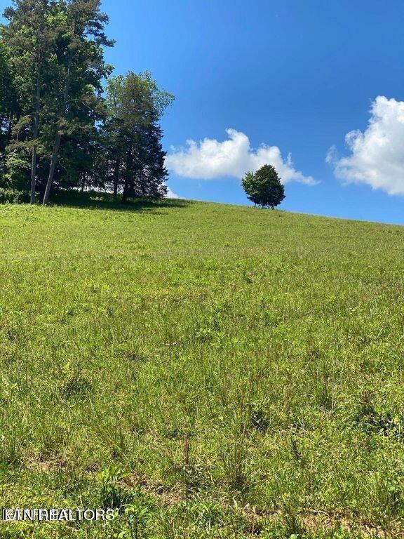 Image 1: lot5