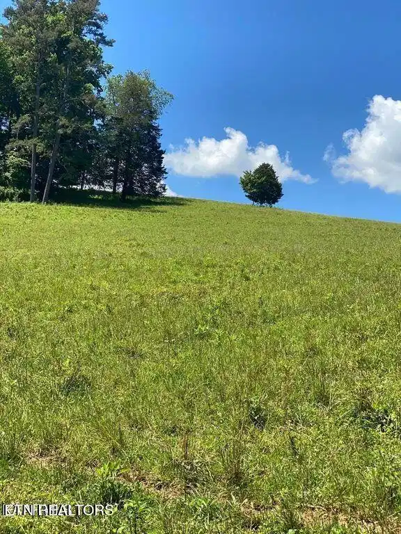 Image 1: lot5