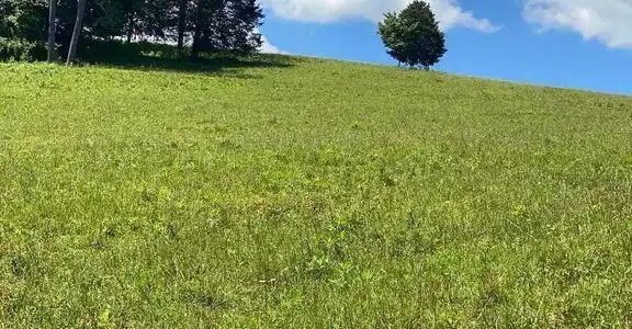 Lot 7 Chapman Rd