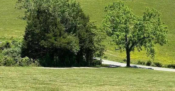 Image 2: lot8