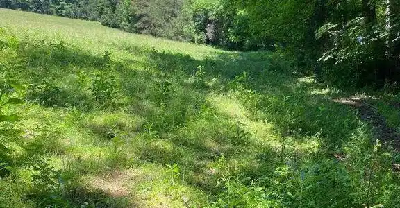 Image 3: lot6