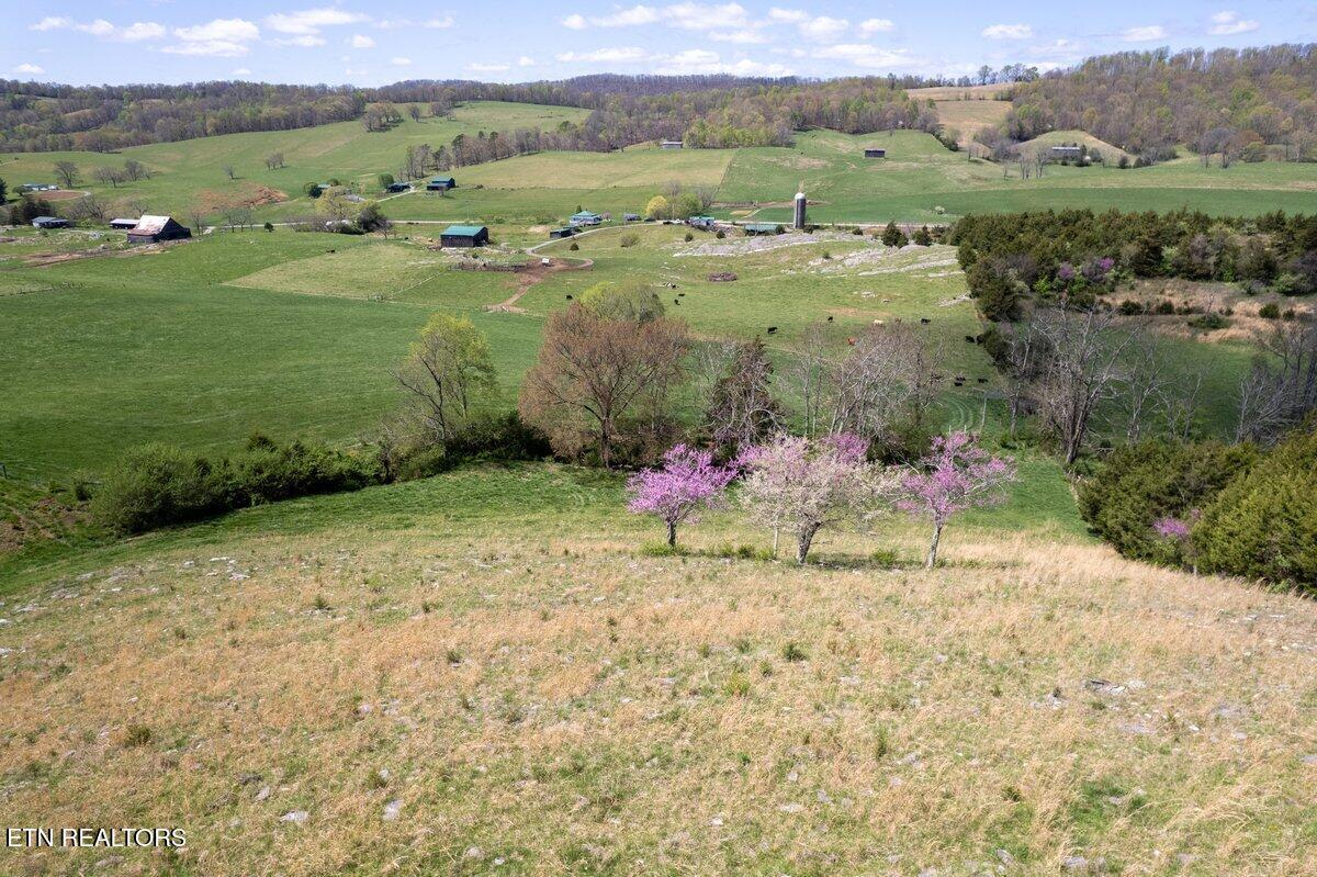 Image 4: DJI_0732
