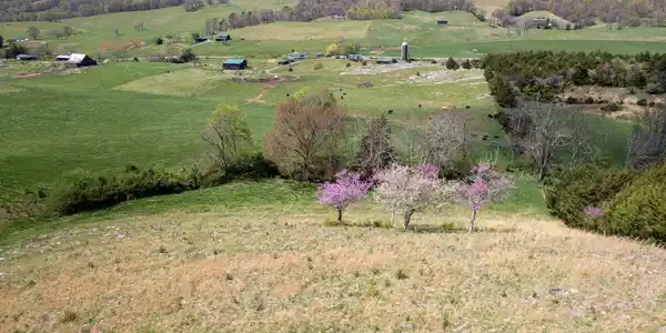 Image 4: DJI_0732