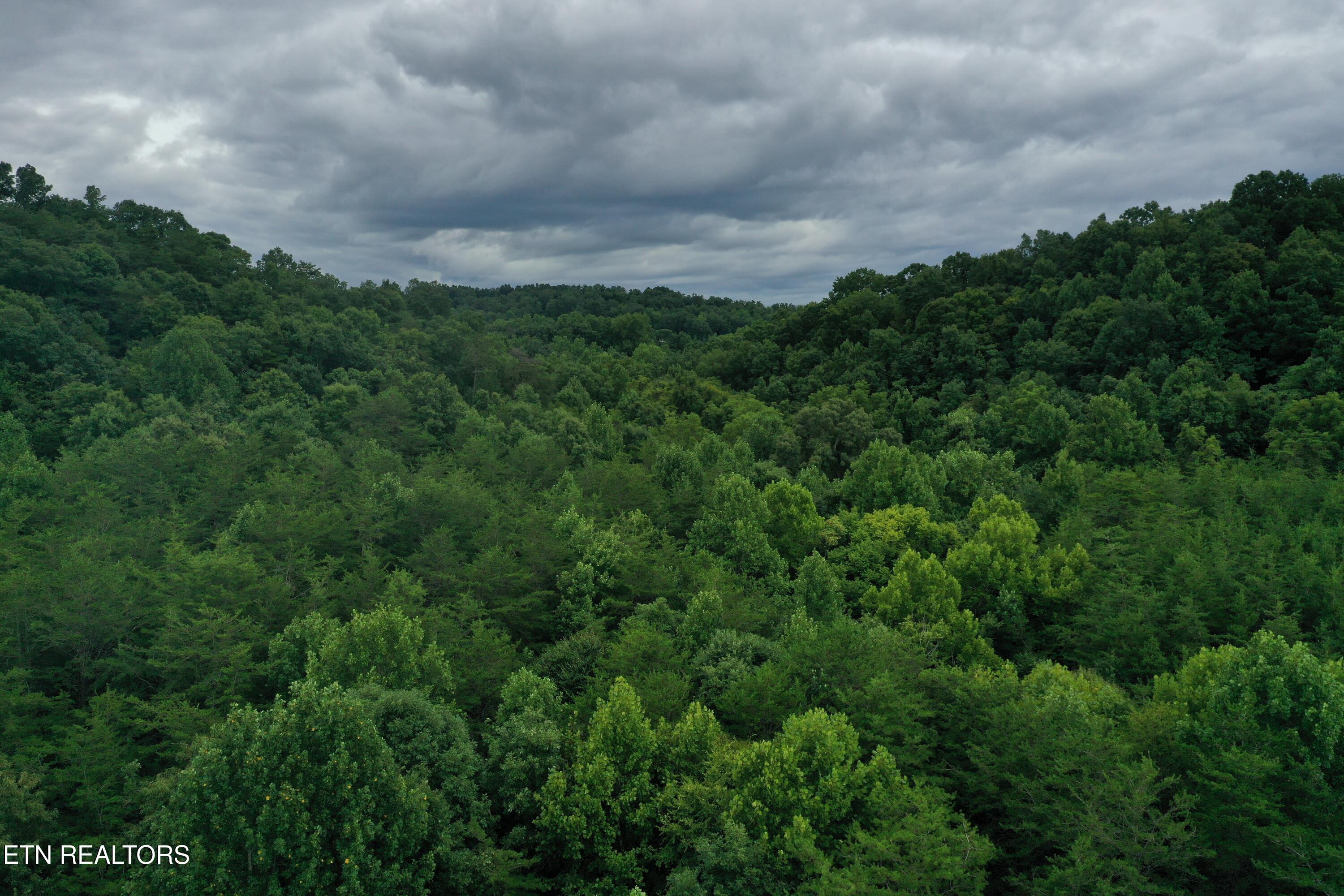 Image 4: DJI_0006
