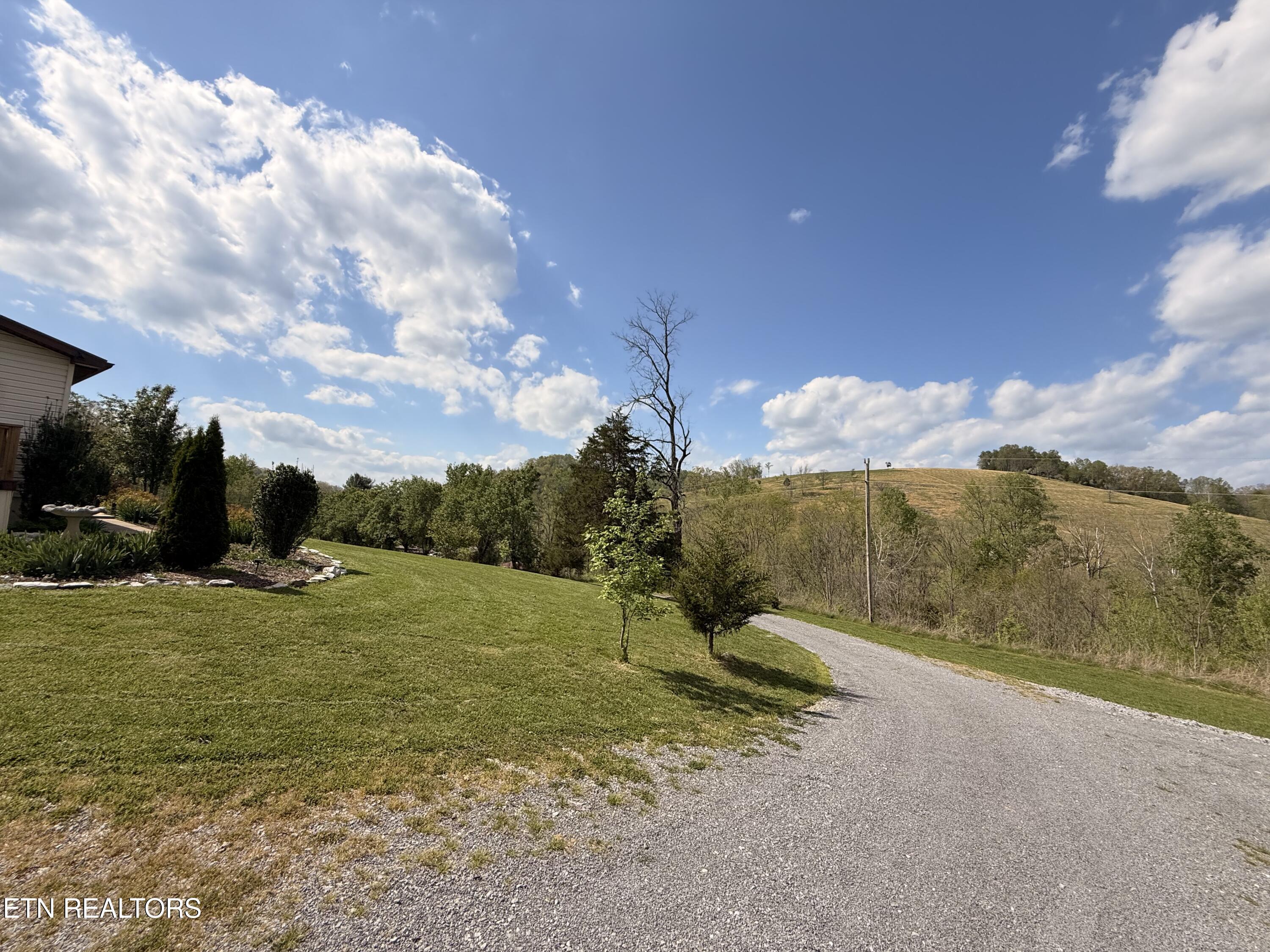 Image 2: IMG_7656