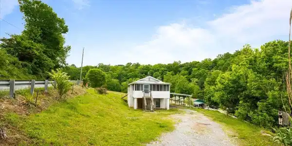 Image 3: 02-743 Lovely Bluff Rd