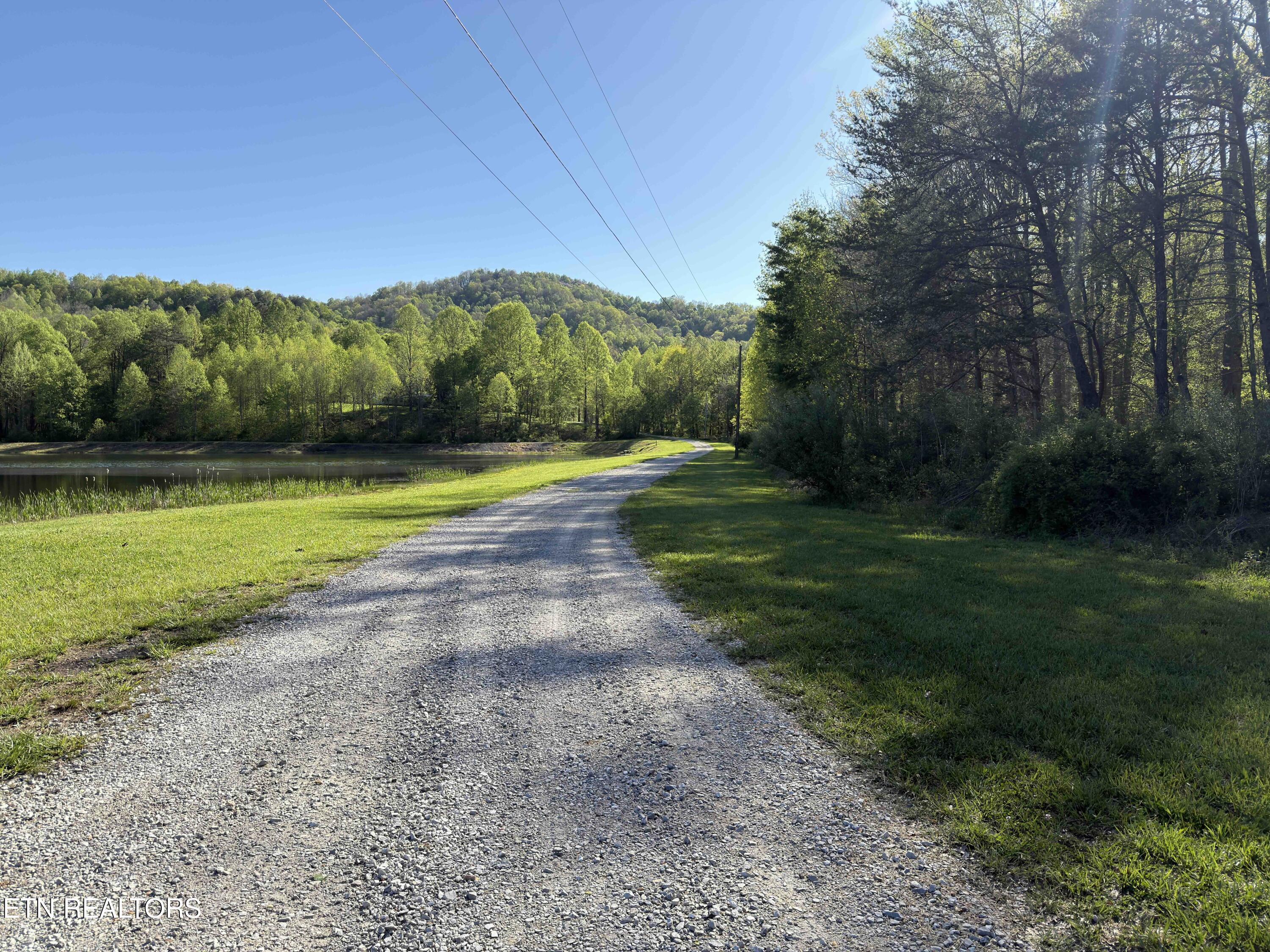 Image 2: IMG_0721