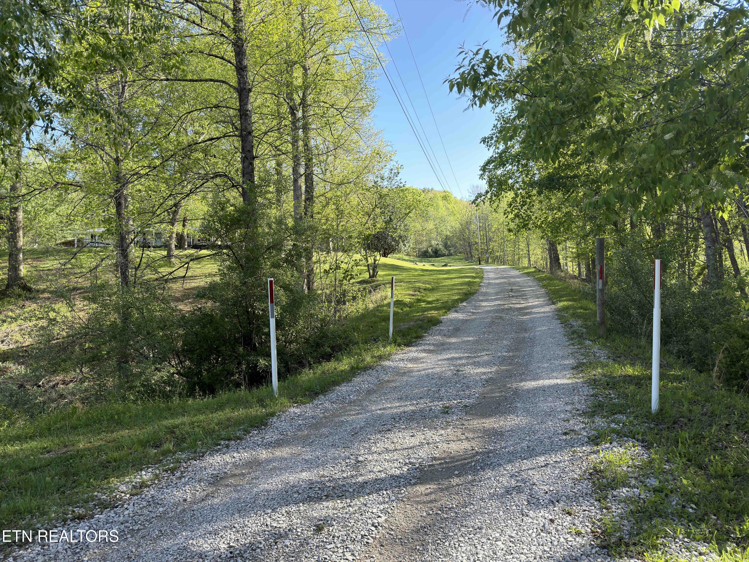 Image 4: IMG_0725