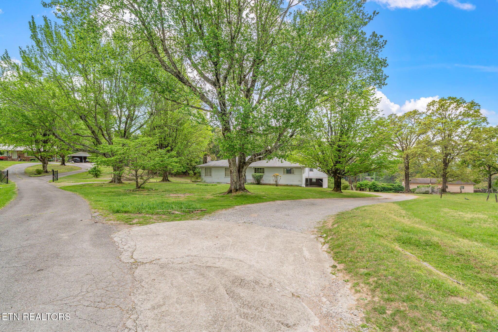 Image 4: 4-web-or-mls-126 Hicks Lane